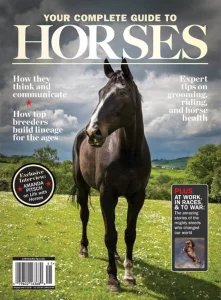 Your Complete Guide to Horses 2023