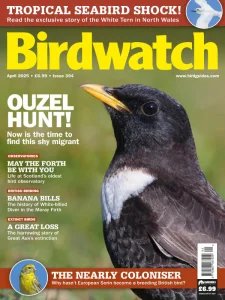 Birdwatch UK - 04.2025