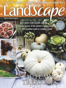 Landscape UK - 11.2020