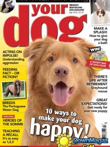 Your Dog - July 2016