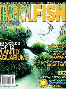 Tropical Fish Hobbyist - January 2015