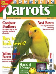 Parrots - June 2016