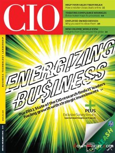 CIO - 15 December 2010