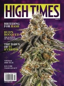 High Times - 02.2024