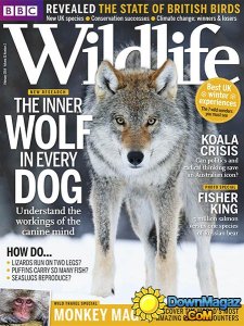 BBC Wildlife - February 2014