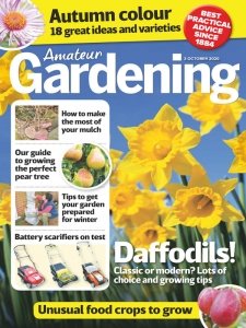 Amateur Gardening - 3.10.2020