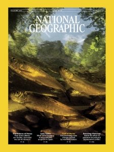 National Geographic UK - 06.2024