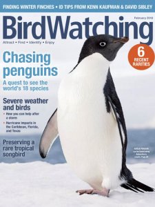 BirdWatching USA - 01/02 2018