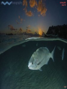 Underwater Photography - 07/08 2021