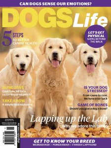 Dogs Life - 05/06 2018