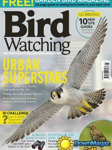 Bird Watching - May 2015