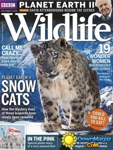 BBC Wildlife - November 2016