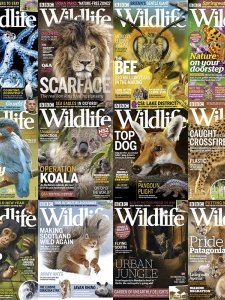 BBC Wildlife - 2020 Full Year