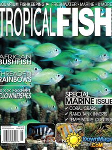 Tropical Fish Hobbyist - September 2013