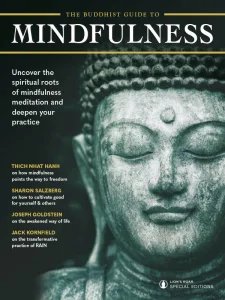 The Practical Guide to Mindfulness 2024