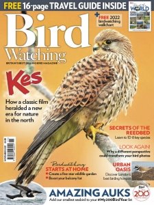 Bird Watching UK - 11.2021