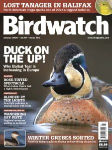 Birdwatch UK - 01.2025