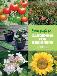 Amateur Gardening Easy Guide To - Gardening For Beginners 2024