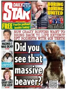 Daily Star - 7.10.2024