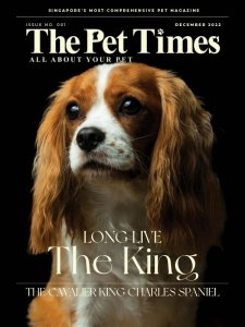 The Pet Times - 12.2022