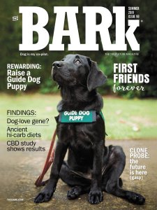 The Bark - Summer 2019