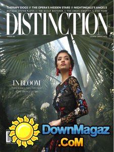 Distinction - Summer 2017