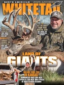 North American Whitetail - 07.2025