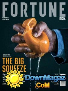 Fortune IN - 03.2017