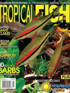 Tropical Fish Hobbyist - March 2015