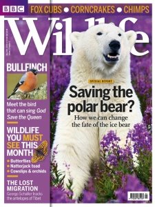 BBC Wildlife - 05.2013