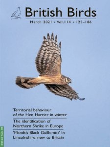 British Birds - 03.2021