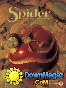 Spider - 09.2017