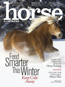 Horse Illustrated - 12.2017