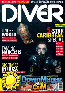 Diver UK - 06.2017