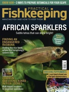 Practical Fishkeeping - 02.2025