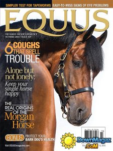 Equus - October 2016