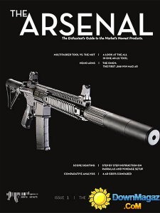 The Arsenal - January 2014