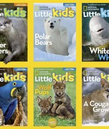 National Geographic Little Kids - 2017 Full Year