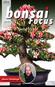 Bonsai Focus - 05/06 2021