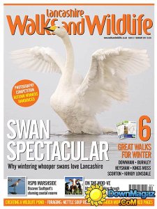 Lancashire Walks and Wildlife - February 2014