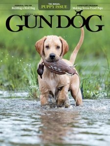 Gun Dog - Spring 2021