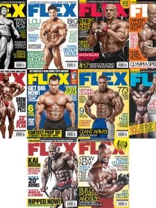 Flex UK - 2017 Full Year Compilation