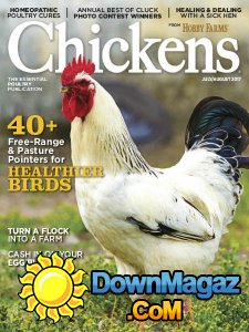 Chickens - 07/08 2017