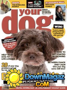 Your Dog - 05.2017