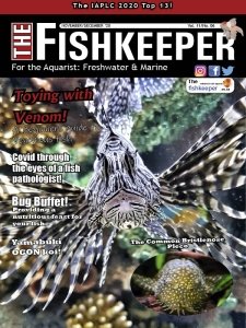 The Fishkeeper - 11/12 2020