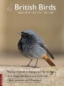 British Birds - 04.2019