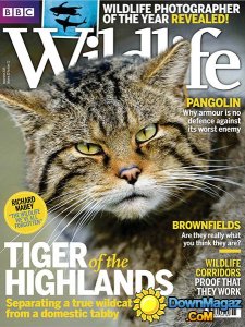 BBC Wildlife UK - November 2015