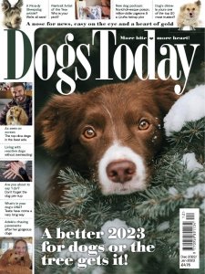 Dogs Today UK - 12/01 2023