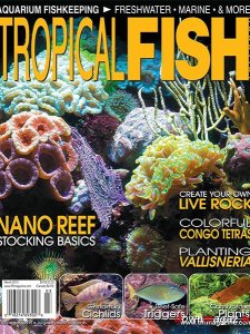 Tropical Fish Hobbyist - March 2013