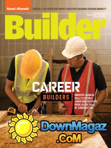 Professional Builder - 11.2017